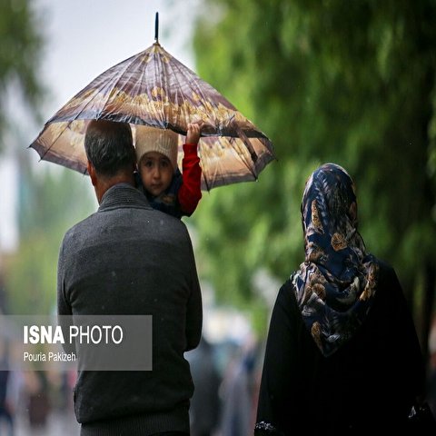 تصاویر: طراوت باران بهاری - همدان
