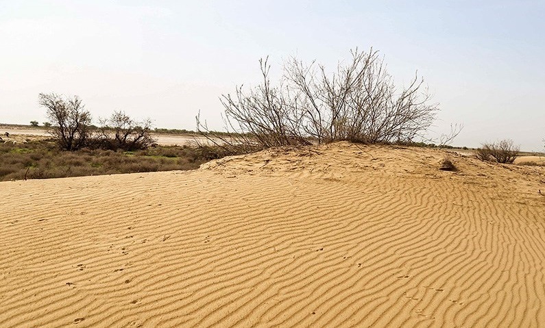 افزایش ۲.۵ میلیون هکتاری بیابان‌های کشور در دهه اخیر