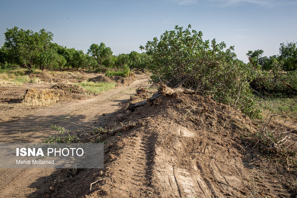 تصاویر: تخریب قسمتی از باغستان سنتی قزوین