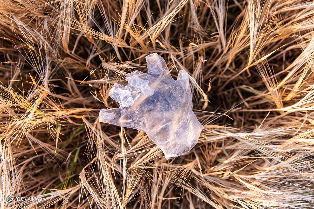 تصاویر: جهان ما، در تسخیر پلاستیک