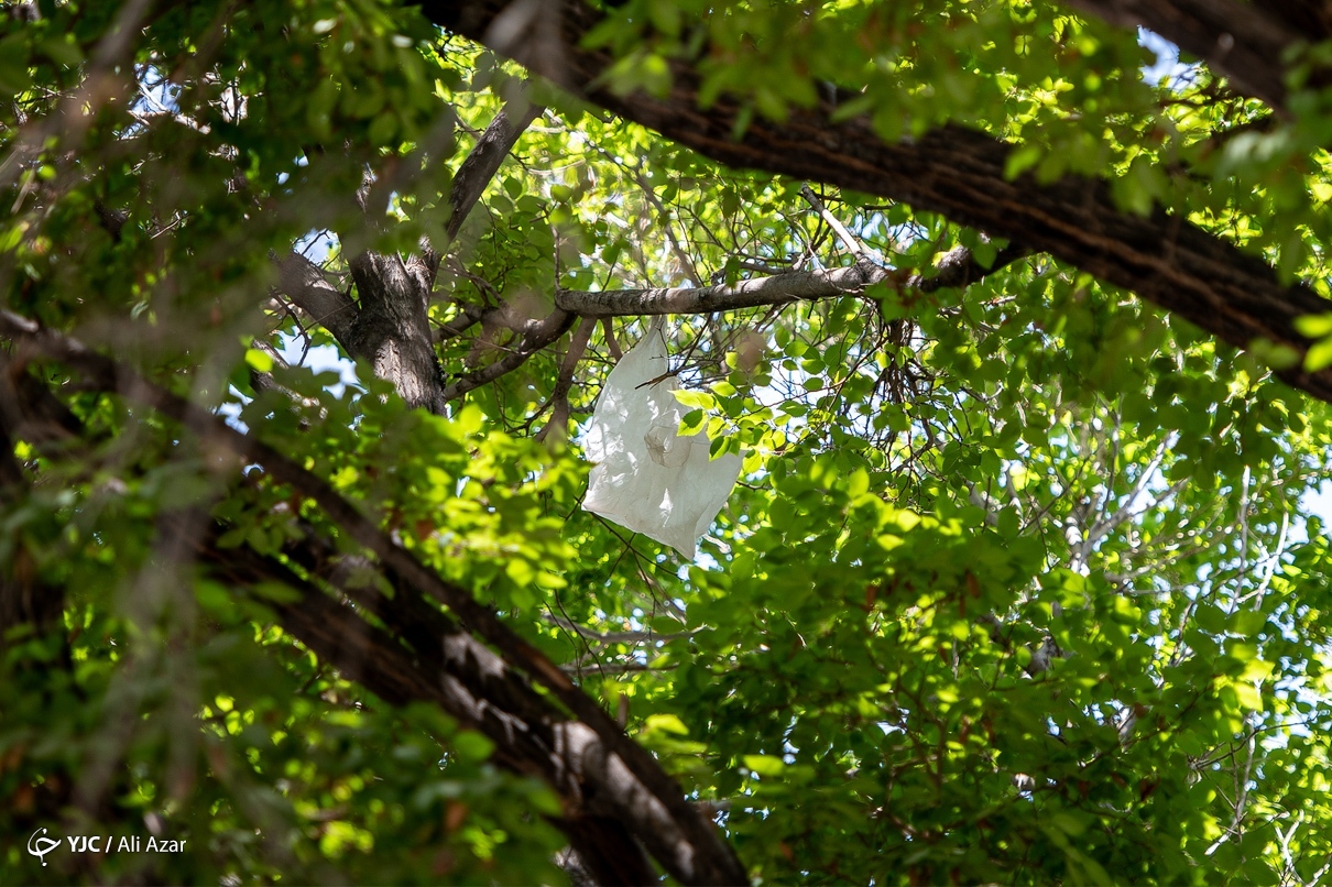 تصاویر: جهان ما، در تسخیر پلاستیک