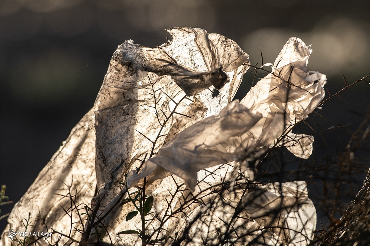 تصاویر: جهان ما، در تسخیر پلاستیک