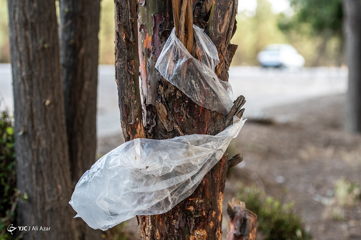 تصاویر: جهان ما، در تسخیر پلاستیک