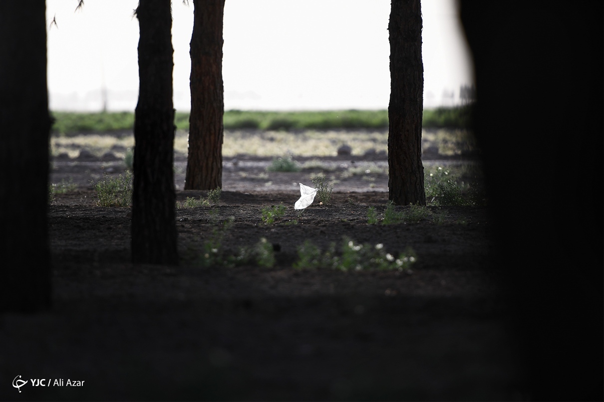 تصاویر: جهان ما، در تسخیر پلاستیک