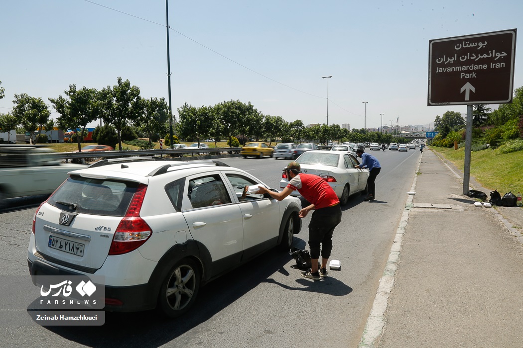 تصاویر: فروش توت در بزرگراه
