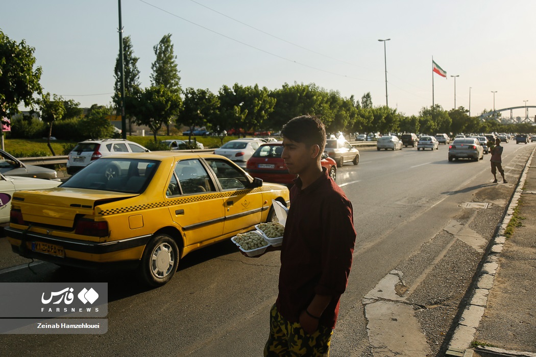 تصاویر: فروش توت در بزرگراه