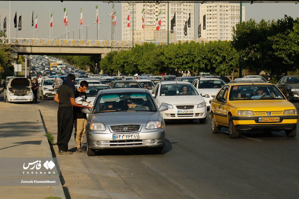 تصاویر: فروش توت در بزرگراه