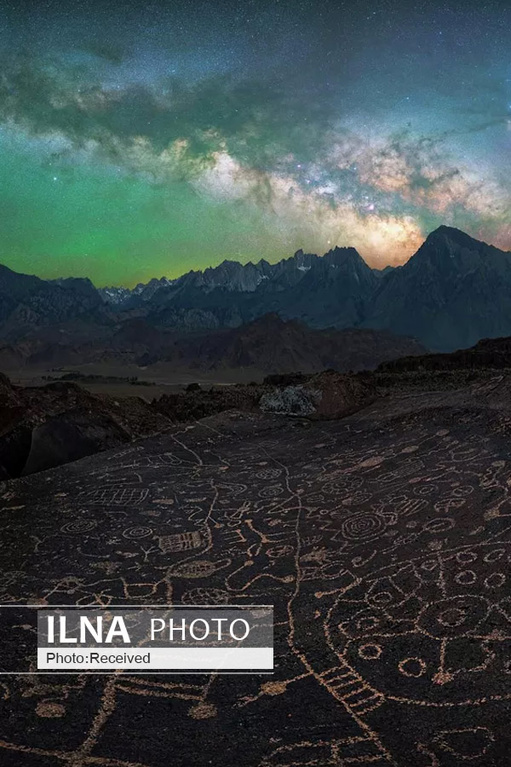 تصاویر: برندگان مسابقه عکاسی 