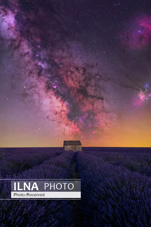 تصاویر: برندگان مسابقه عکاسی 