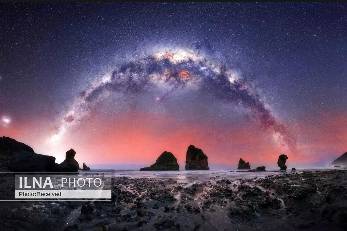 تصاویر: برندگان مسابقه عکاسی 