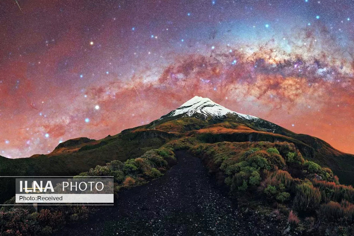 تصاویر: برندگان مسابقه عکاسی 