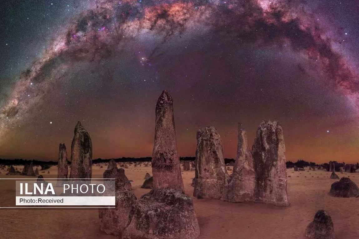 تصاویر: برندگان مسابقه عکاسی 