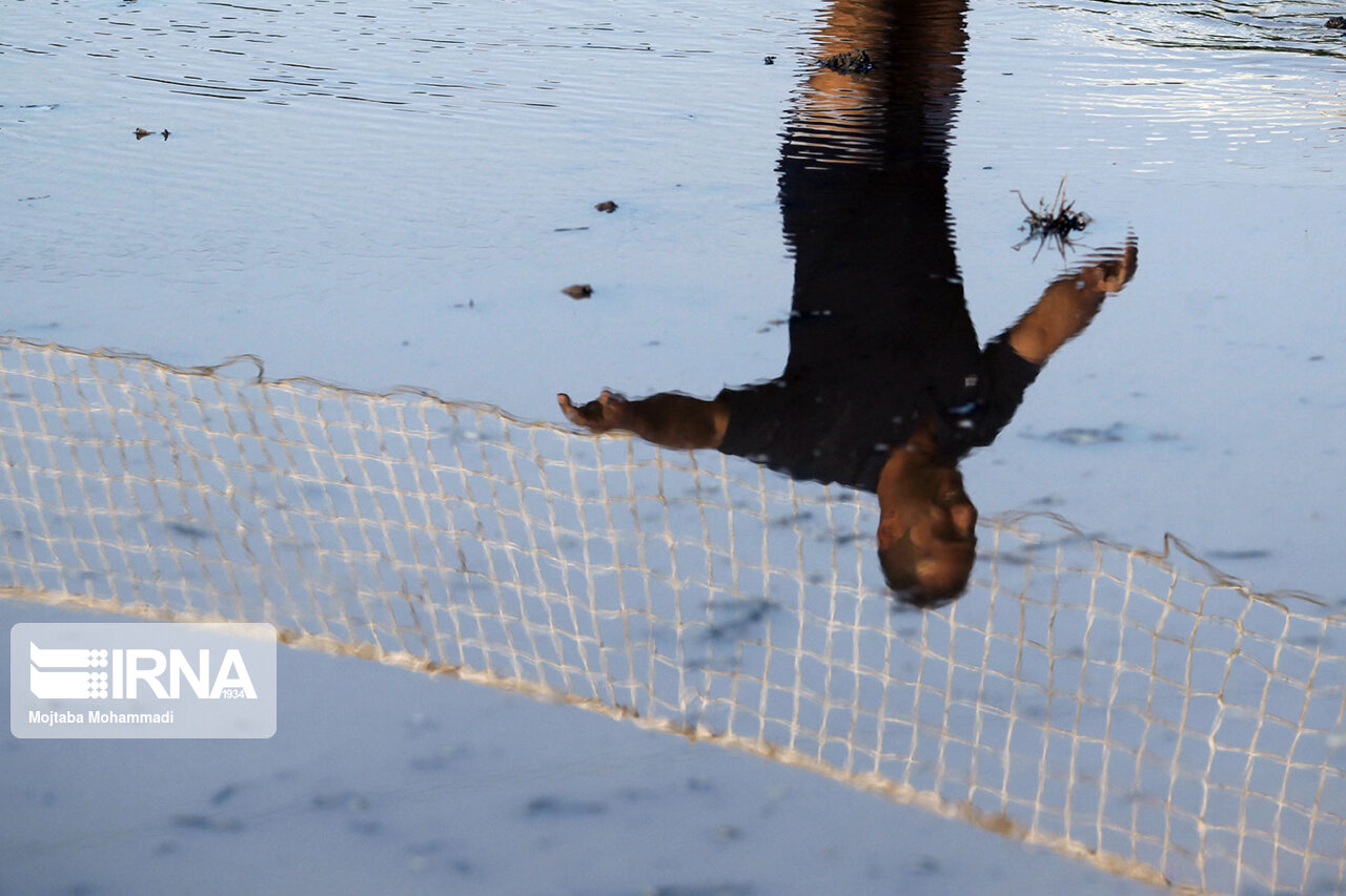 تصاویر: جشنواره ورزش&zwnj;های شالیزاری