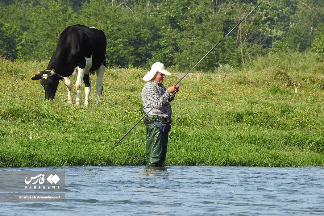 تصاویر: آرام&zwnj; بخش&zwnj;ترین تفریح &laquo;گیلانی&zwnj;ها&raquo;
