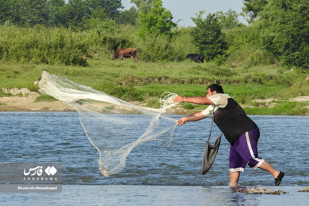 تصاویر: آرام&zwnj; بخش&zwnj;ترین تفریح &laquo;گیلانی&zwnj;ها&raquo;