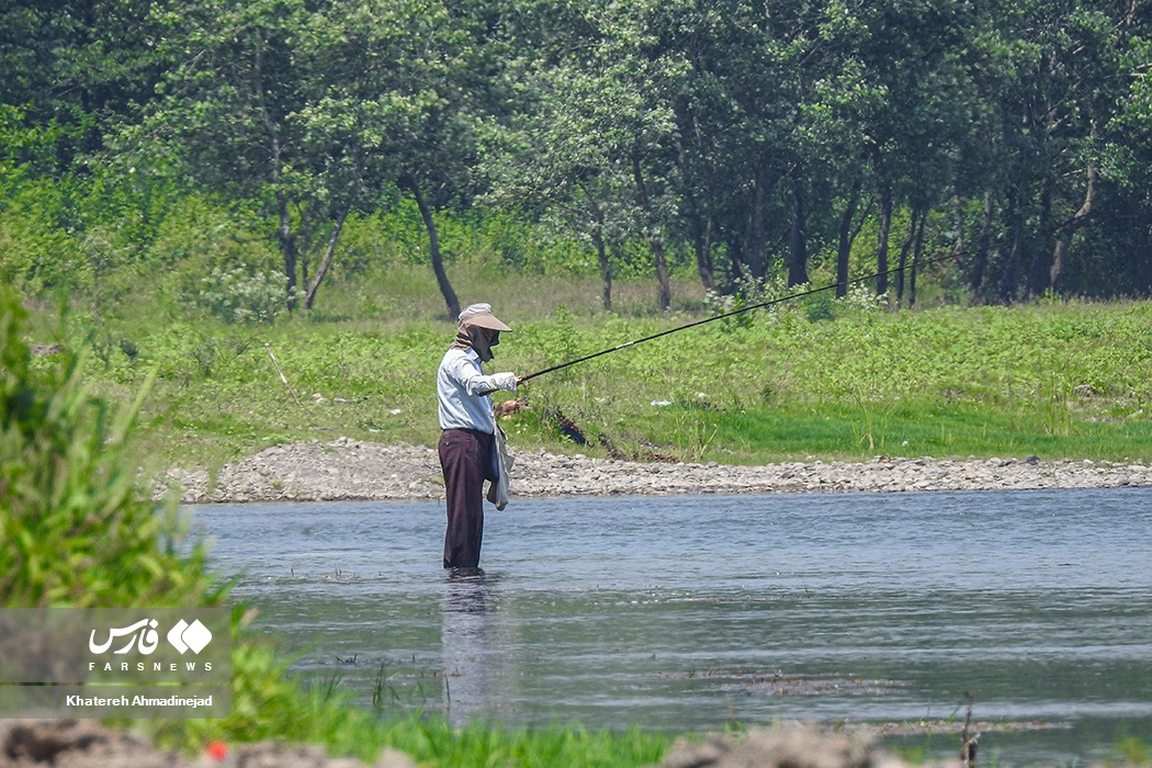 تصاویر: آرام&zwnj; بخش&zwnj;ترین تفریح &laquo;گیلانی&zwnj;ها&raquo;