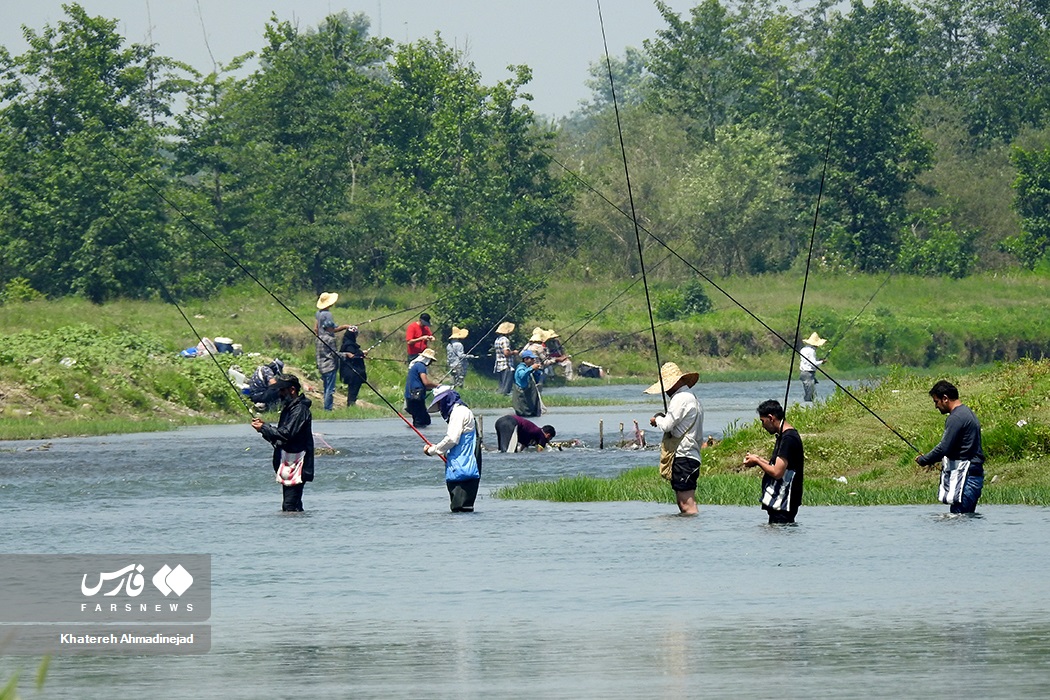 تصاویر: آرام&zwnj; بخش&zwnj;ترین تفریح &laquo;گیلانی&zwnj;ها&raquo;
