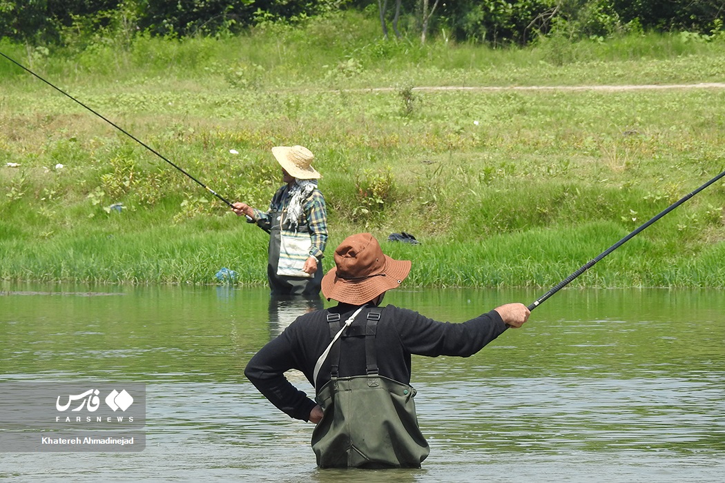 تصاویر: آرام&zwnj; بخش&zwnj;ترین تفریح &laquo;گیلانی&zwnj;ها&raquo;