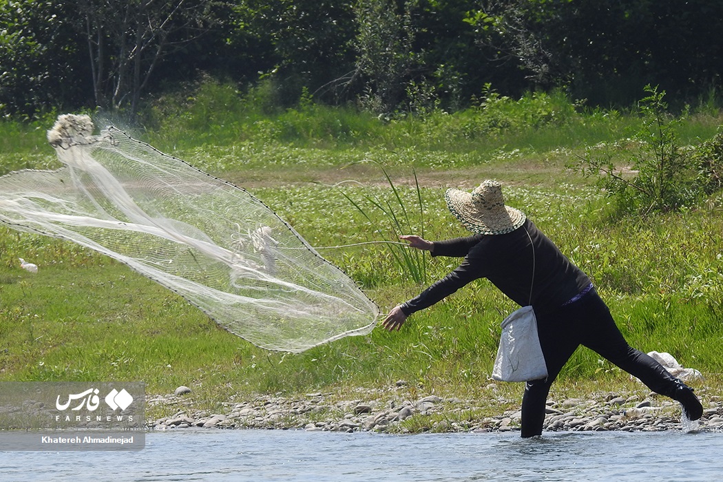 تصاویر: آرام&zwnj; بخش&zwnj;ترین تفریح &laquo;گیلانی&zwnj;ها&raquo;