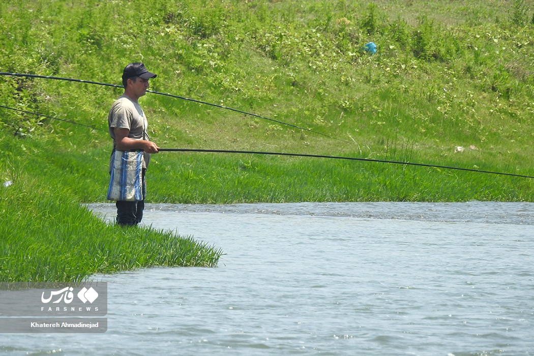 تصاویر: آرام&zwnj; بخش&zwnj;ترین تفریح &laquo;گیلانی&zwnj;ها&raquo;