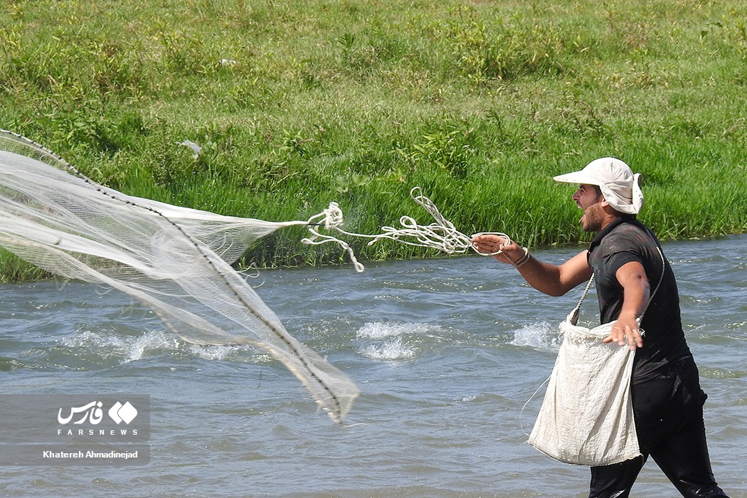 تصاویر: آرام&zwnj; بخش&zwnj;ترین تفریح &laquo;گیلانی&zwnj;ها&raquo;