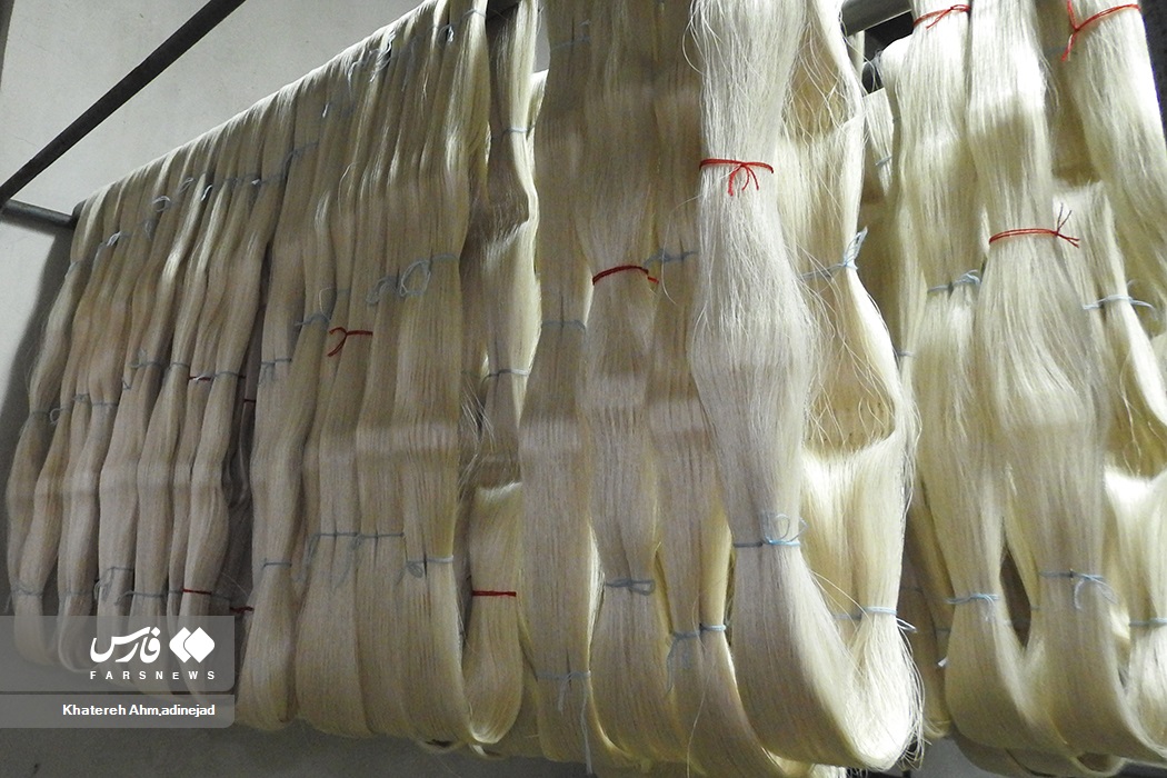 تصاویر: از &laquo;پیله تا نخ ابریشم&raquo; در گیلان