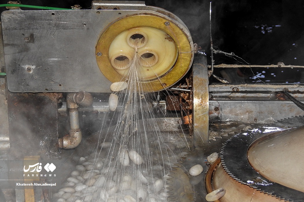 تصاویر: از &laquo;پیله تا نخ ابریشم&raquo; در گیلان