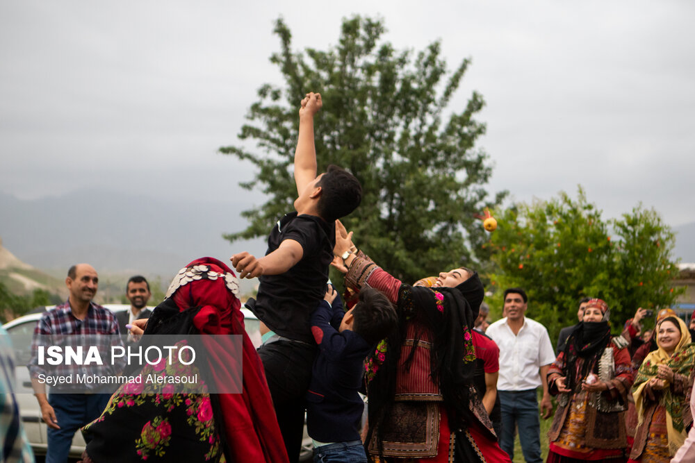 تصاویر: داوه&zwnj;تا کورمانجی