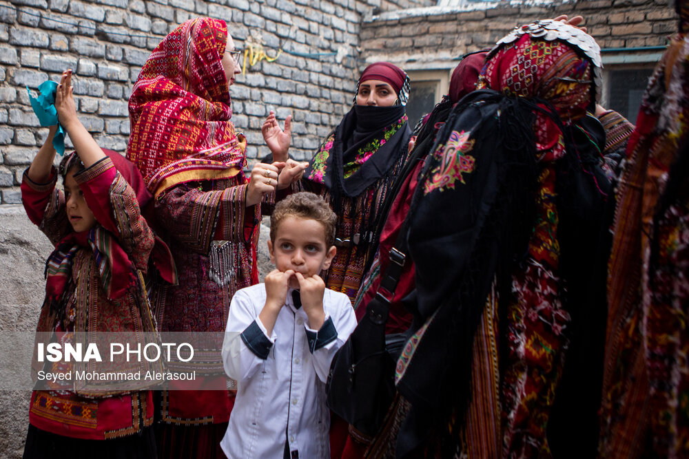 تصاویر: داوه&zwnj;تا کورمانجی