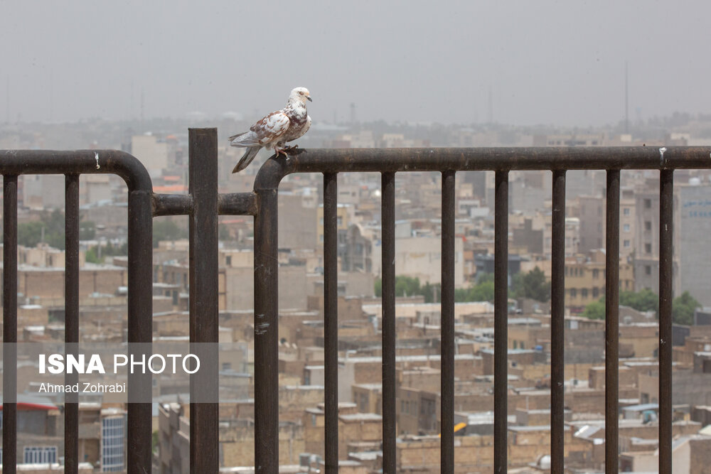 تصاویر: آلودگی شدید هوای شهر قم