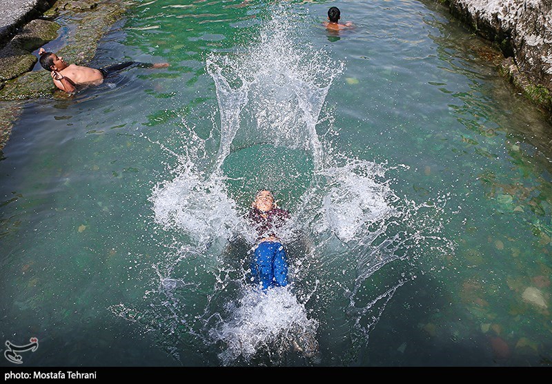 تصاویر: آب تنی در چشمه علی