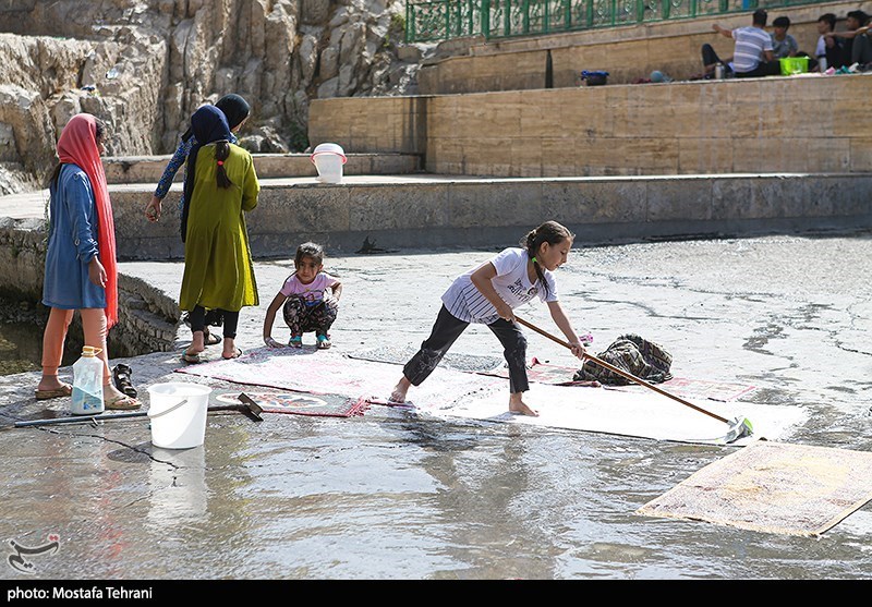 تصاویر: آب تنی در چشمه علی