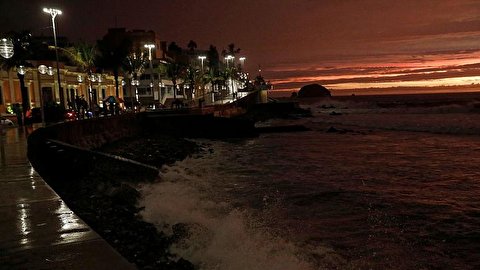 شب‌های مهتابی اقیانوس آرام؛ چگونه جفت‌گیری سیمین‌پهلوی کالیفرنیا شگفتی خلق می‌کند؟