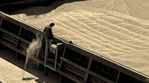 ادعای مقام روس: ایران، عراق و عربستان به دنبال خرید گندم از منطقه اشغالی تحت تسلط مسکو در اوکراین هستند
