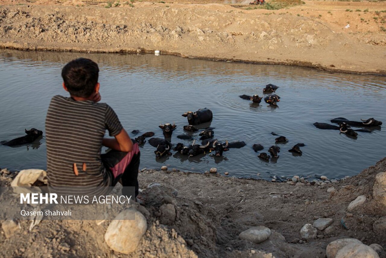 تصاویر: خوزستان، سرزمینِ آبیِ تشنه