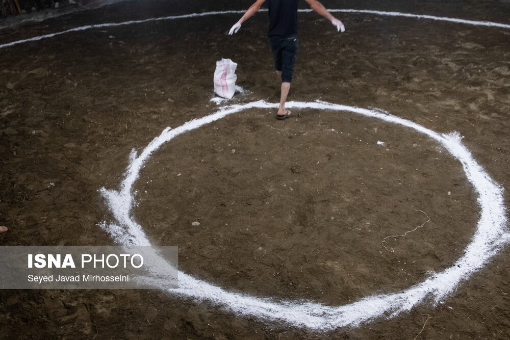تصاویر: مسابقات کشتی «گیله‌مردی»