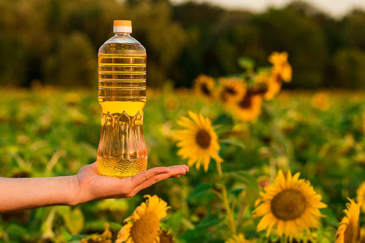 بررسی انواع قیمت روغن و فاکتورهای مهم موثر در آن