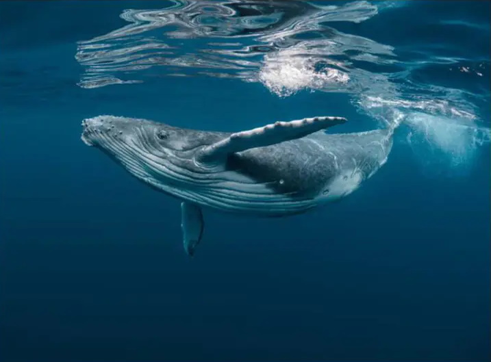 پاسخ ساده و کامل به ۱۲ سوالی که همه ما بارها از خودمان پرسیده ایم پاسخ ساده و کامل به ۱۲ سوالی که همه ما بارها از خودمان پرسیده ایم