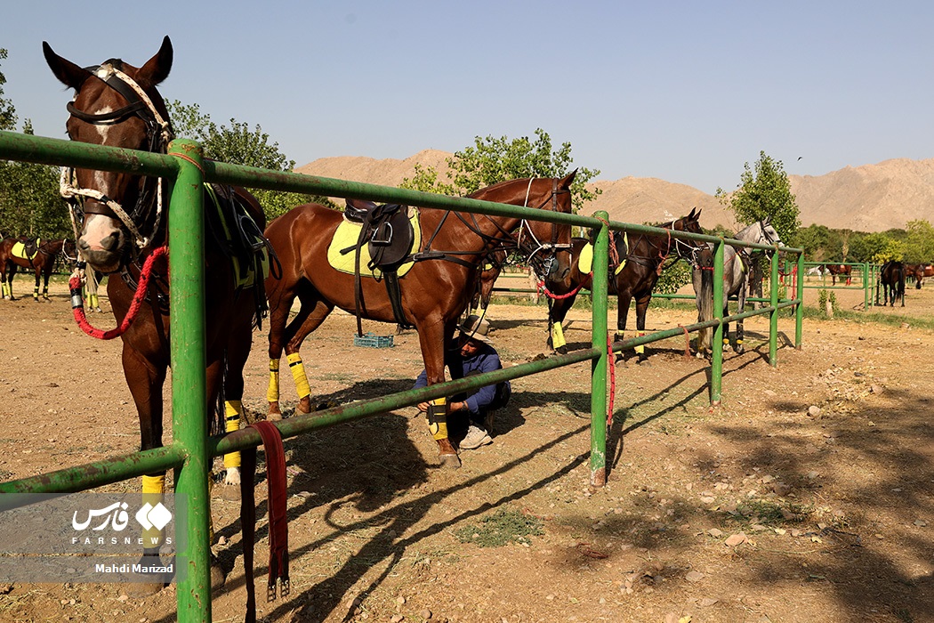 تصاویر: مسابقات چوگان جام سردار سلیمانی