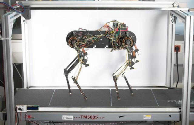 ربات مجهز به طناب نخاعی مجازی یک ساعته راه رفت!