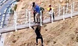 ویدیو / نجات معجزه‌آسا از پل معلق سنندج / تخریب بخشی از پل توسط یک جوان
