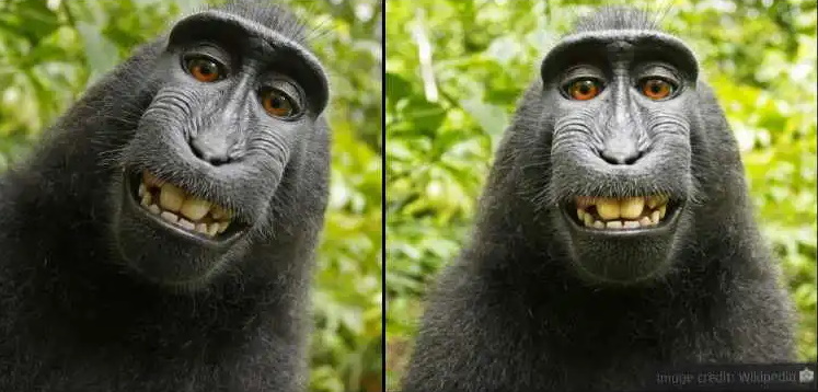 ۲۰ واقعیت جالب، بامزه و باورنکردنی برای ذهن های کنجکاو که آموزنده نیز هستند ۲۰ واقعیت جالب، بامزه و باورنکردنی برای ذهن های کنجکاو که آموزنده نیز هستند