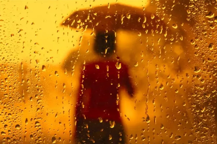 ۲۰ واقعیت جالب، بامزه و باورنکردنی برای ذهن های کنجکاو که آموزنده نیز هستند ۲۰ واقعیت جالب، بامزه و باورنکردنی برای ذهن های کنجکاو که آموزنده نیز هستند