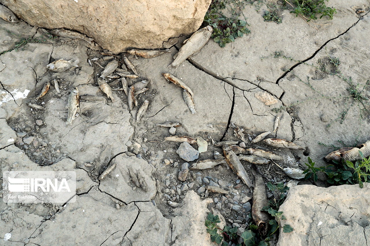 تصاویر: نابودی سد آبشینه همدان
