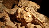 اجداد انسان اولیه یک میلیون سال بیش‌تر از آنچه تصور می‌شد، قدمت دارند