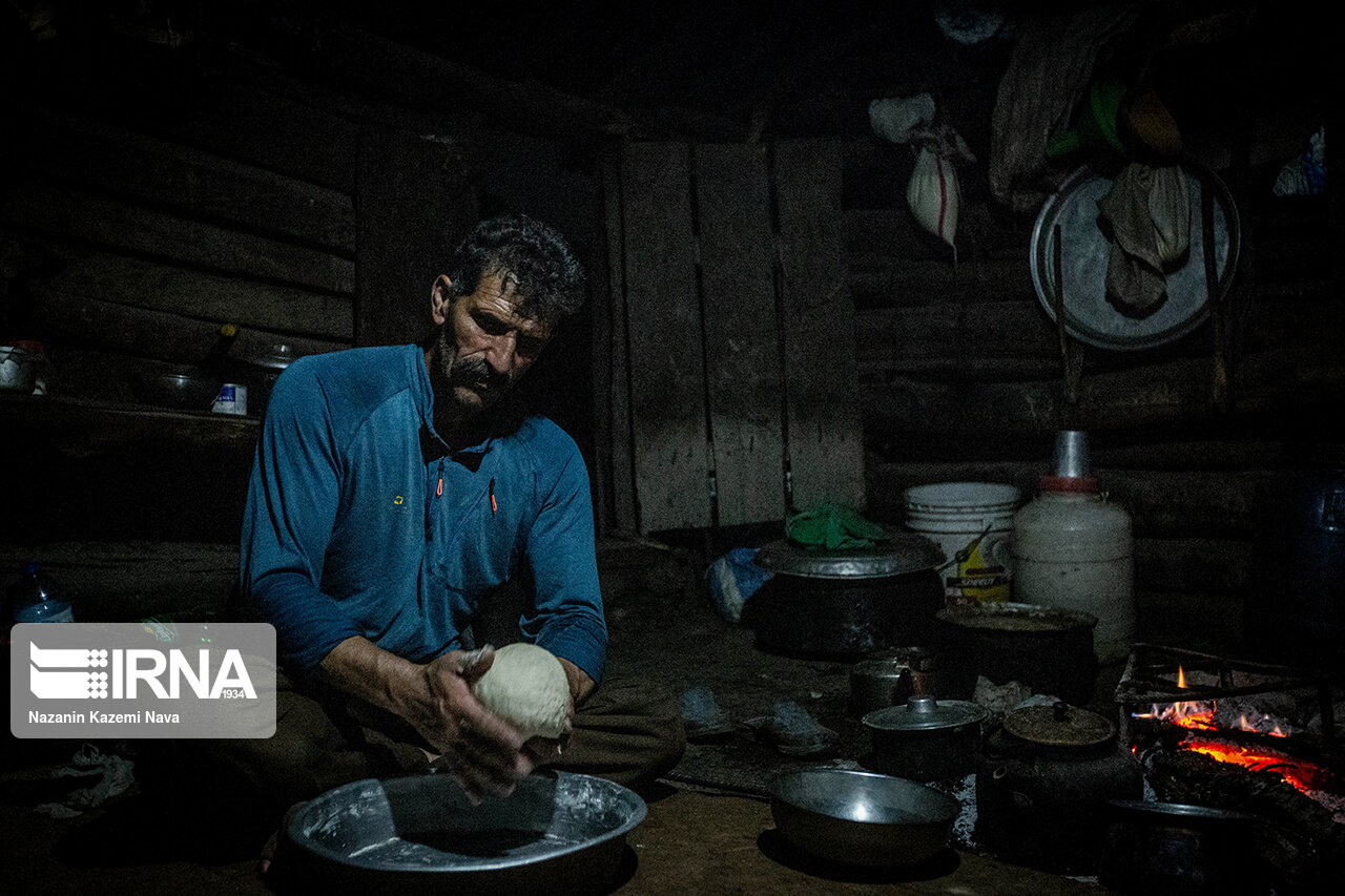 تصاویر: گالِش