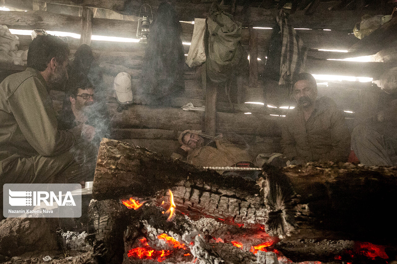 تصاویر: گالِش