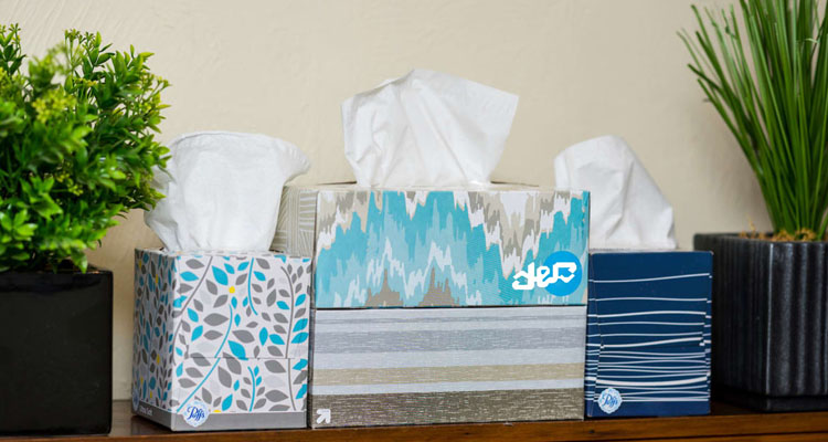 قیمت انواع دستمال کاغذی ارزان در تیرماه 1401 مشخص شد قیمت انواع دستمال کاغذی ارزان در تیرماه 1401 مشخص شد