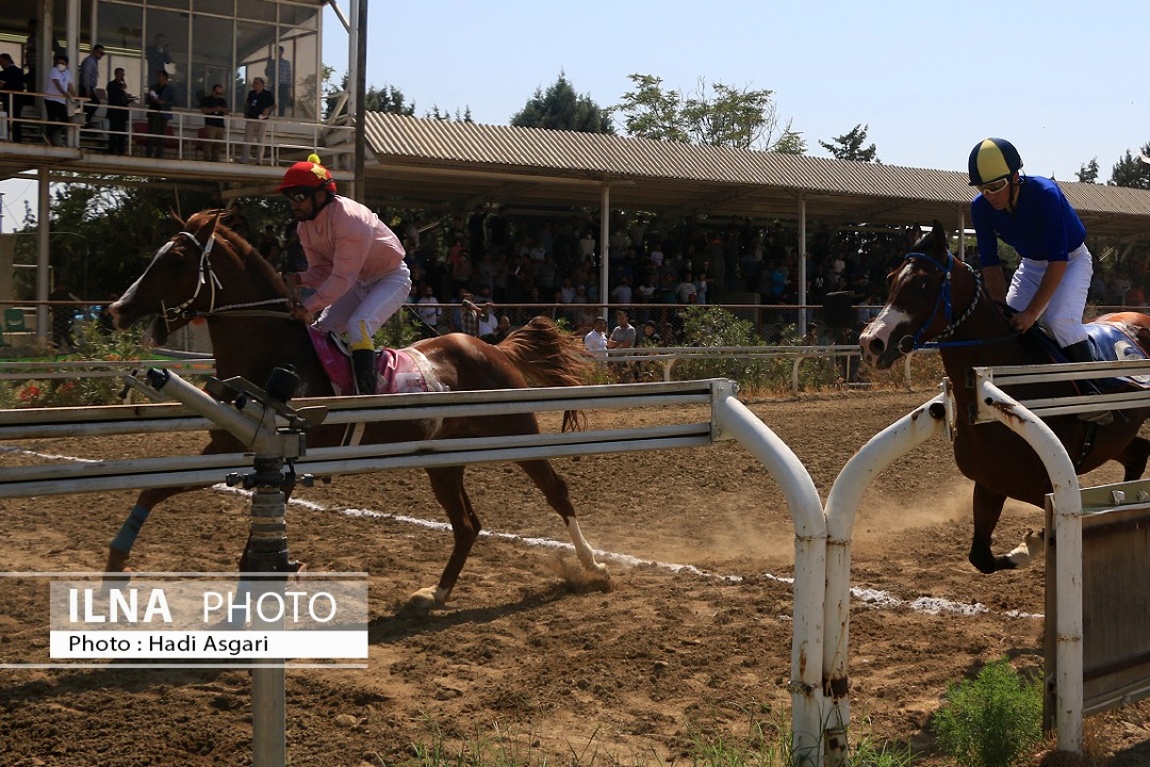 تصاویر: هفته اول مسابقات اسب دوانی فصل تابستان ۱۴۰۱ تهران