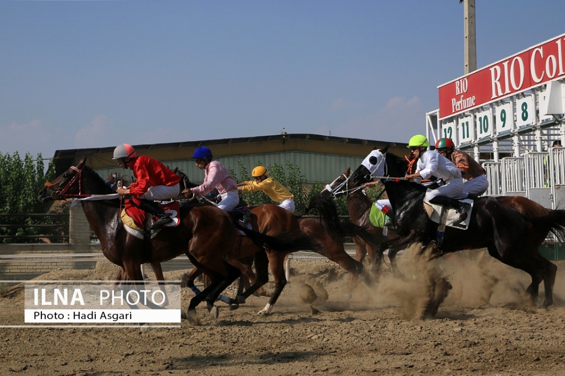 تصاویر: هفته اول مسابقات اسب دوانی فصل تابستان ۱۴۰۱ تهران